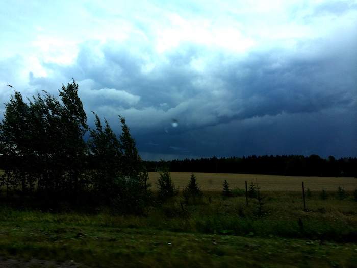 Trees blowing in wind