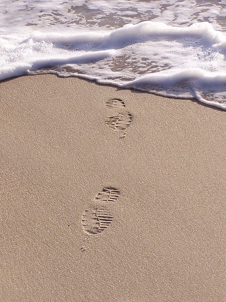 Footprint